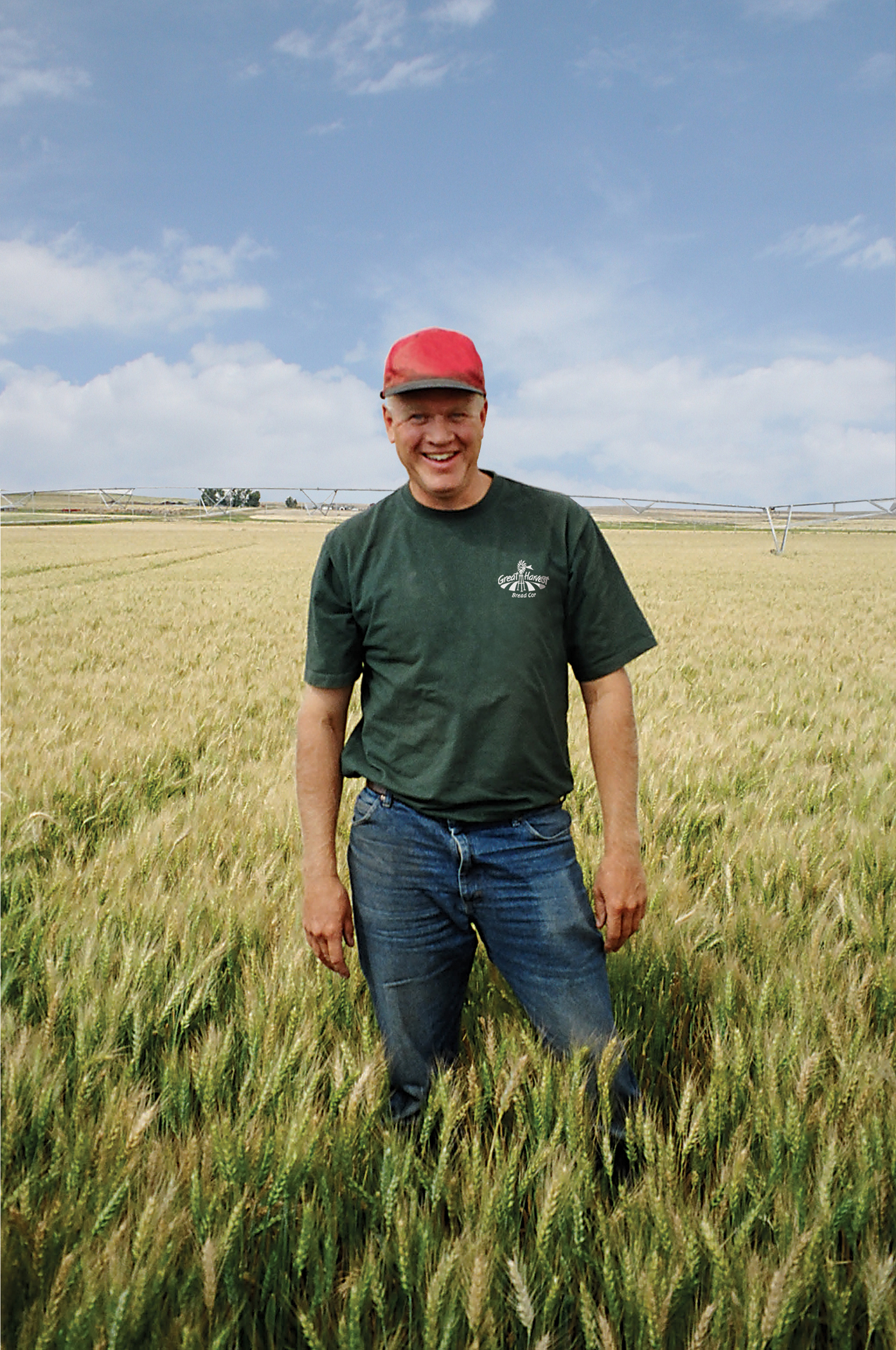 male Great Harvest franchisee stands in a field of wheat